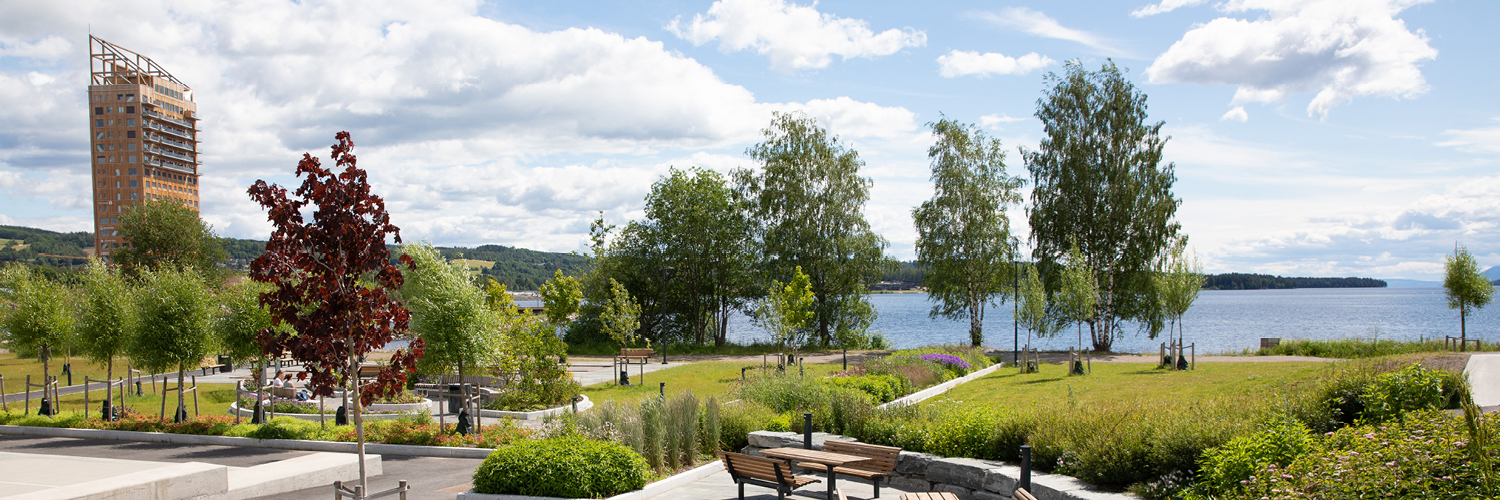 Ringsaker kommune Lismarka og Åsen skole